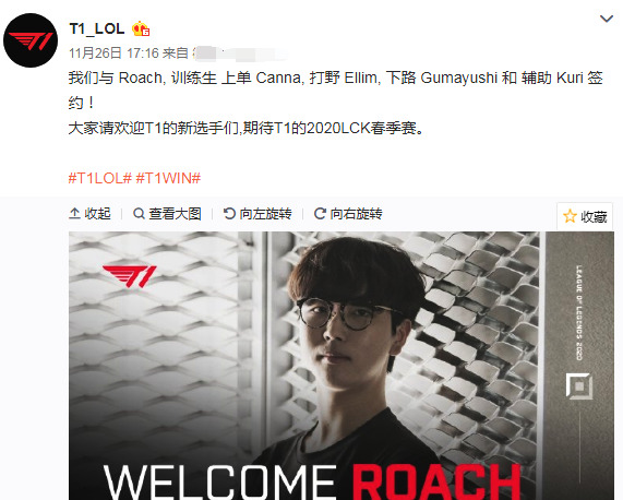 样的大牌球 样的大牌球