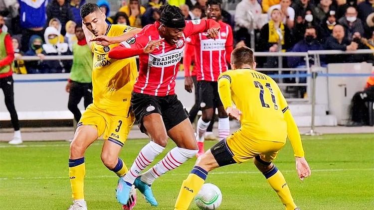 络的作用 络的作用